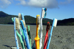 toothbrushes on the beach
